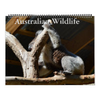 Australische Vögel, Wildtiere, Kalender