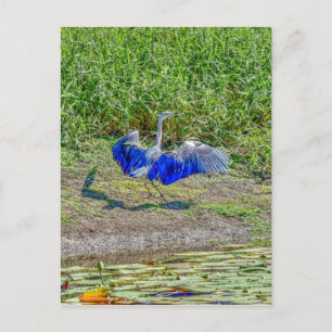 AUSTRALISCHE VOGELSTORK AUSTRALIEN MIT KUNSTWIRKUN POSTKARTE