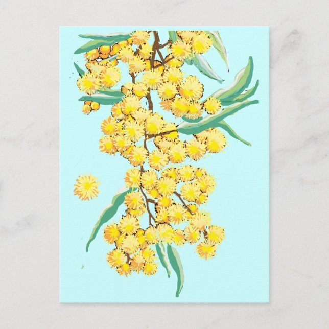 Australische Wattle Postkarte (Vorderseite)