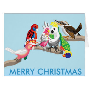 Australische Weihnachtsvögel
