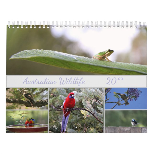 Australische Wildlife Fotografie Motivierend Kalender (Titelbild)
