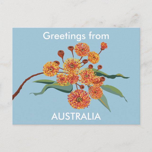 Australische Zahnfleischblüten Postkarte (Vorderseite)