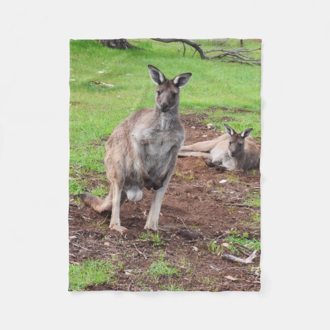 Australischer Buck Kangaroo, kleines Fleece Blanke (Vorderseite)