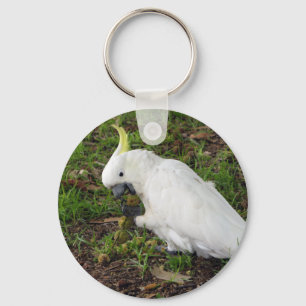 Australischer Cockatoo Schlüsselanhänger