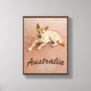 Australischer Dingo-Leinwand Leinwanddruck