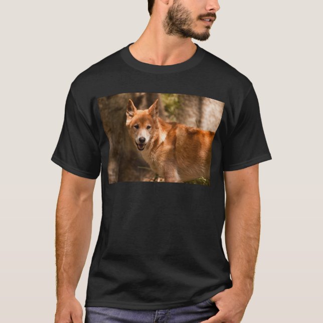 Australischer Dingo T-Shirt (Vorderseite)