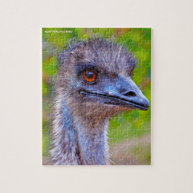 Australischer Emu (Vertikal)