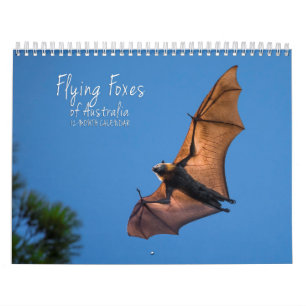Australischer Flughund-Schläger-Kalender - 3 Kalender