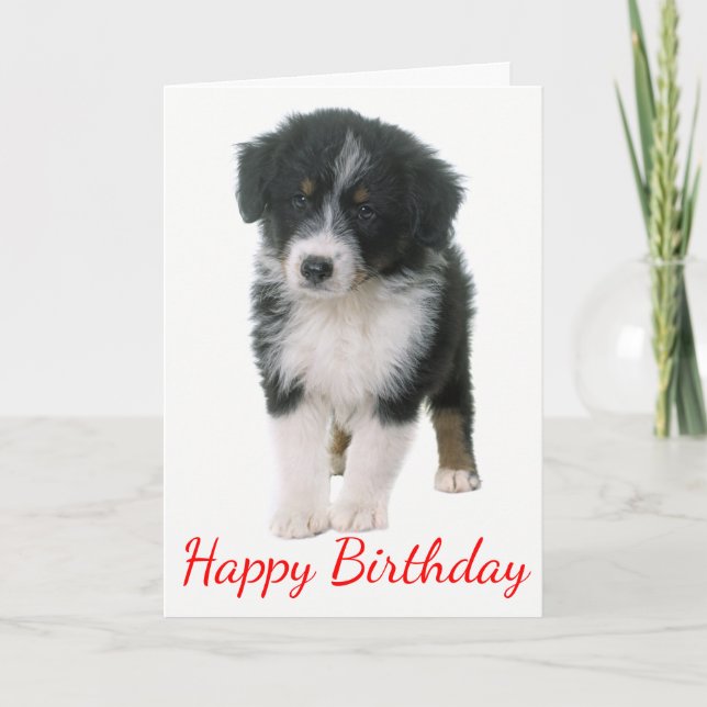 Australischer Hirte Happy Birthday Welpe Hund Karte (Vorderseite)
