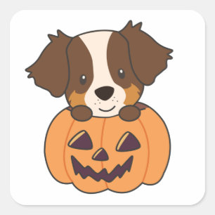 Australischer Hirte in Pumpkin Niedlich Happy Squa Quadratischer Aufkleber