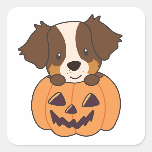 Australischer Hirte in Pumpkin Niedlich Happy Squa Quadratischer Aufkleber (Vorderseite)
