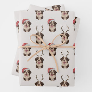 Australischer Hirte Weihnachtsverpackungspapier Geschenkpapier Set
