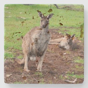 Australischer Kangaroo Couple, Steinuntersetzer