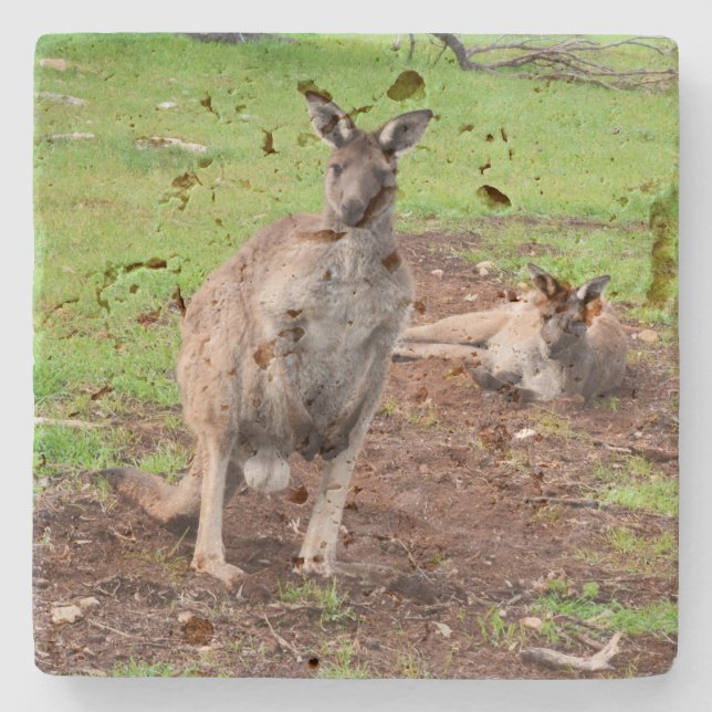 Australischer Kangaroo Couple, Steinuntersetzer (Vorderseite)