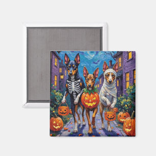 Australischer Kelpie beim Trick-or-Treat an Hallow Magnet