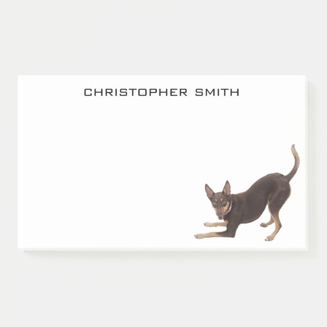 Australischer Kelpie-Hund Post-it Klebezettel (Vorderseite)