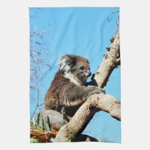 Australischer Koala-Bär in alter Kiefer, Geschirrtuch