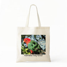 Australischer König Parrot