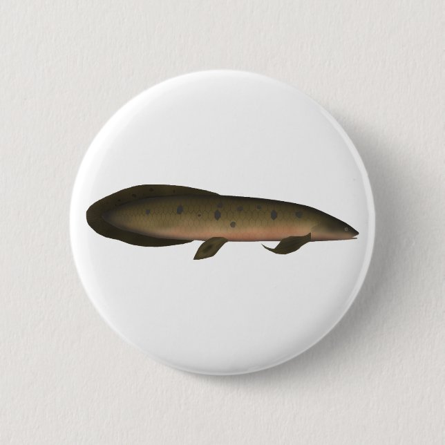 Australischer Lungfisch Button (Vorderseite)