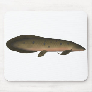 Australischer Lungfisch Mousepad