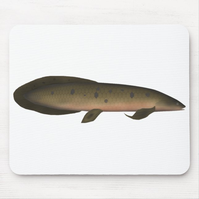 Australischer Lungfisch Mousepad (Vorne)
