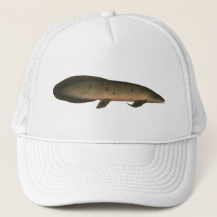 Australischer Lungfisch Truckerkappe