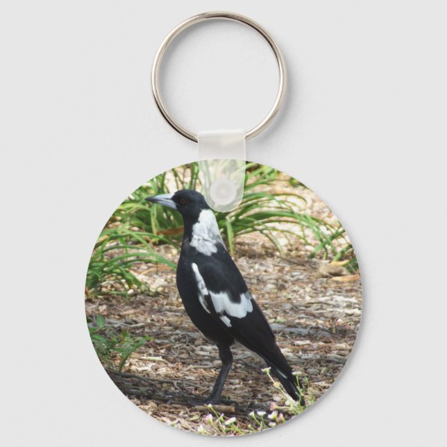 Australischer Magpie-Schlüsselring Schlüsselanhänger (Vorderseite)