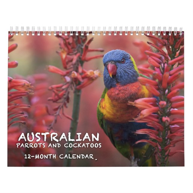 Australischer Papageien- u. Cockatooskalender - 3 Kalender (Titelbild)