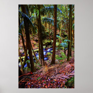 Australischer Regenwald Poster