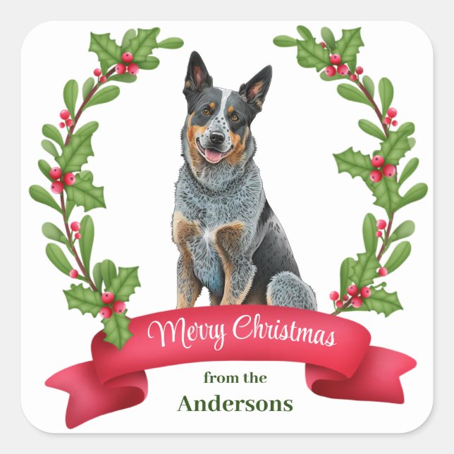 Australischer Rind Dog Holly Banner Weihnachten Quadratischer Aufkleber (Vorderseite)