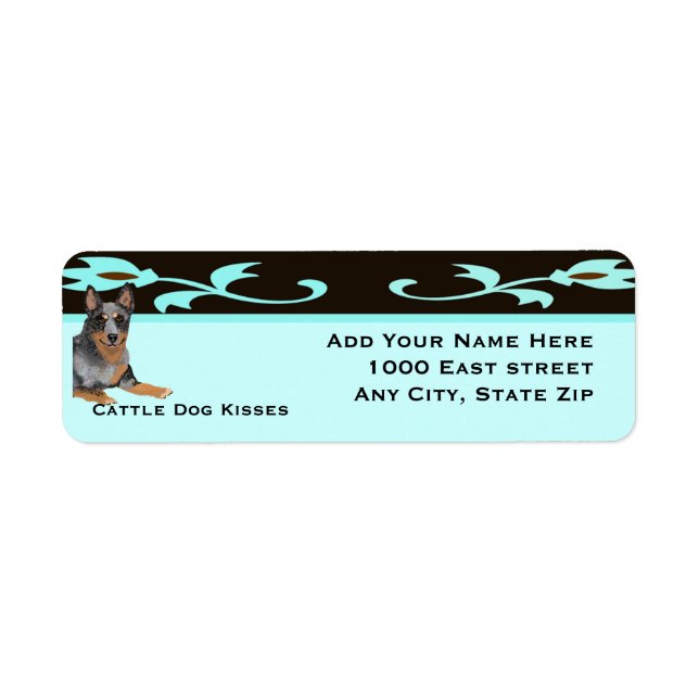 Australischer Rind Dog Kisses (Vorne)