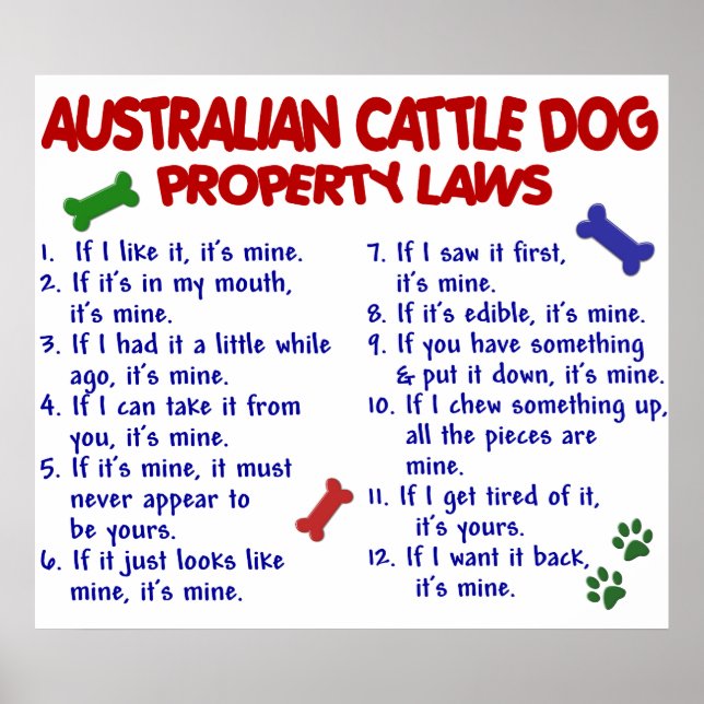 AUSTRALISCHER RINDER DOG PL2 POSTER (Vorne)
