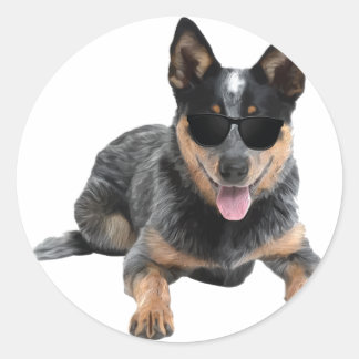 Australischer Rinder-Hund in Aviator Runder Aufkleber