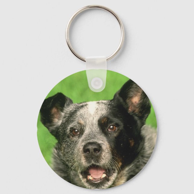 Australischer Rinder-Hund-Schlüsselanhänger Schlüsselanhänger (Vorderseite)