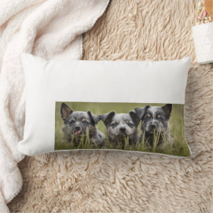Australischer Rinder Hund Welpe Blue Heeler Throw Lendenkissen