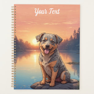 Australischer Rinderhund am See Planer