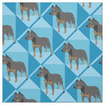 Australischer Rinderhund auf Blue Cubes