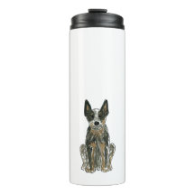 Australischer Rinderhund Blue Heeler