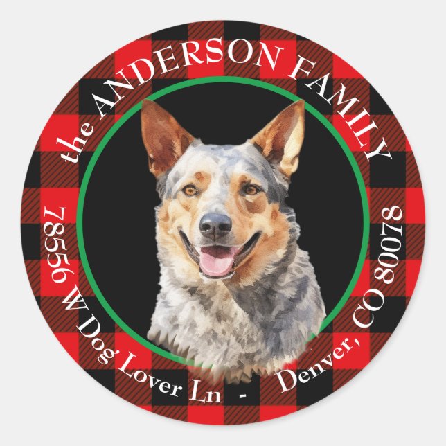 Australischer Rinderhund Buffalo Karierte Rücksend Runder Aufkleber (Vorderseite)