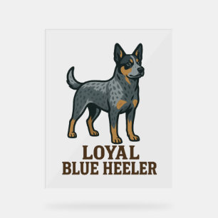 Australischer Rinderhund Loyal Blue Heeler Acrylschild