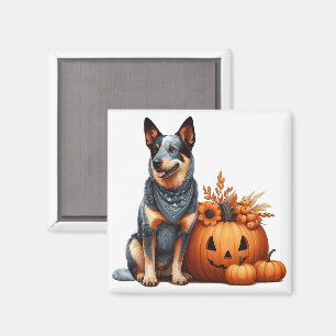 Australischer Rinderhund neben einem Jack-O-Lanter Magnet