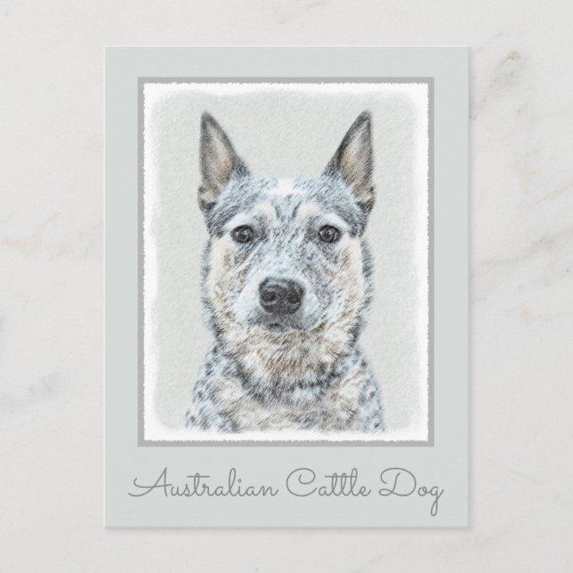 Australischer Rinderhund - Niedliche Original Dog  Postkarte (Vorderseite)