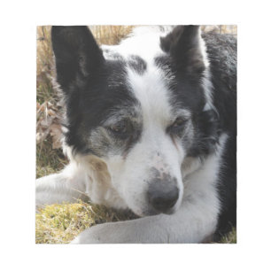 Australischer Rinderhund Notepad Notizblock