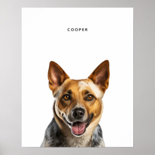 Australischer Rinderhund Personalisiert drucken Poster