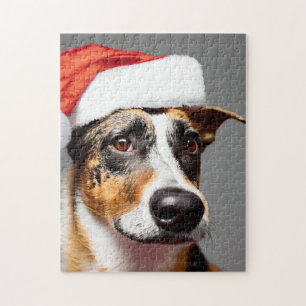Australischer Rinderhund Weihnachten