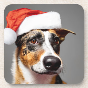 Australischer Rinderhund Weihnachten Getränkeuntersetzer