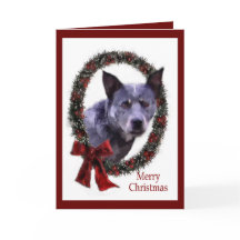 Australischer Rinderhund Weihnachtsgeschenke