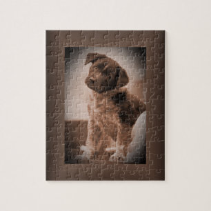 Australischer Rinderhund ~ Welpe ~ Mascot 1943 WW
