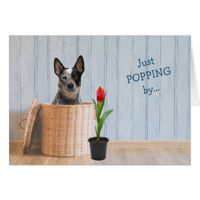 Australischer Rinderhund Wicker Basket Geburtstags (Vorderseite (Horizontal))
