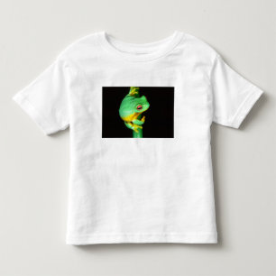 Australischer Roter Laubfrosch, Litoria chloris, Kleinkind T-shirt